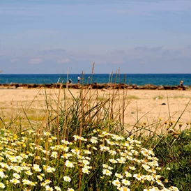 Wohnmobilstellplatz: Spiaggia Libera a 400m - CirceMed 