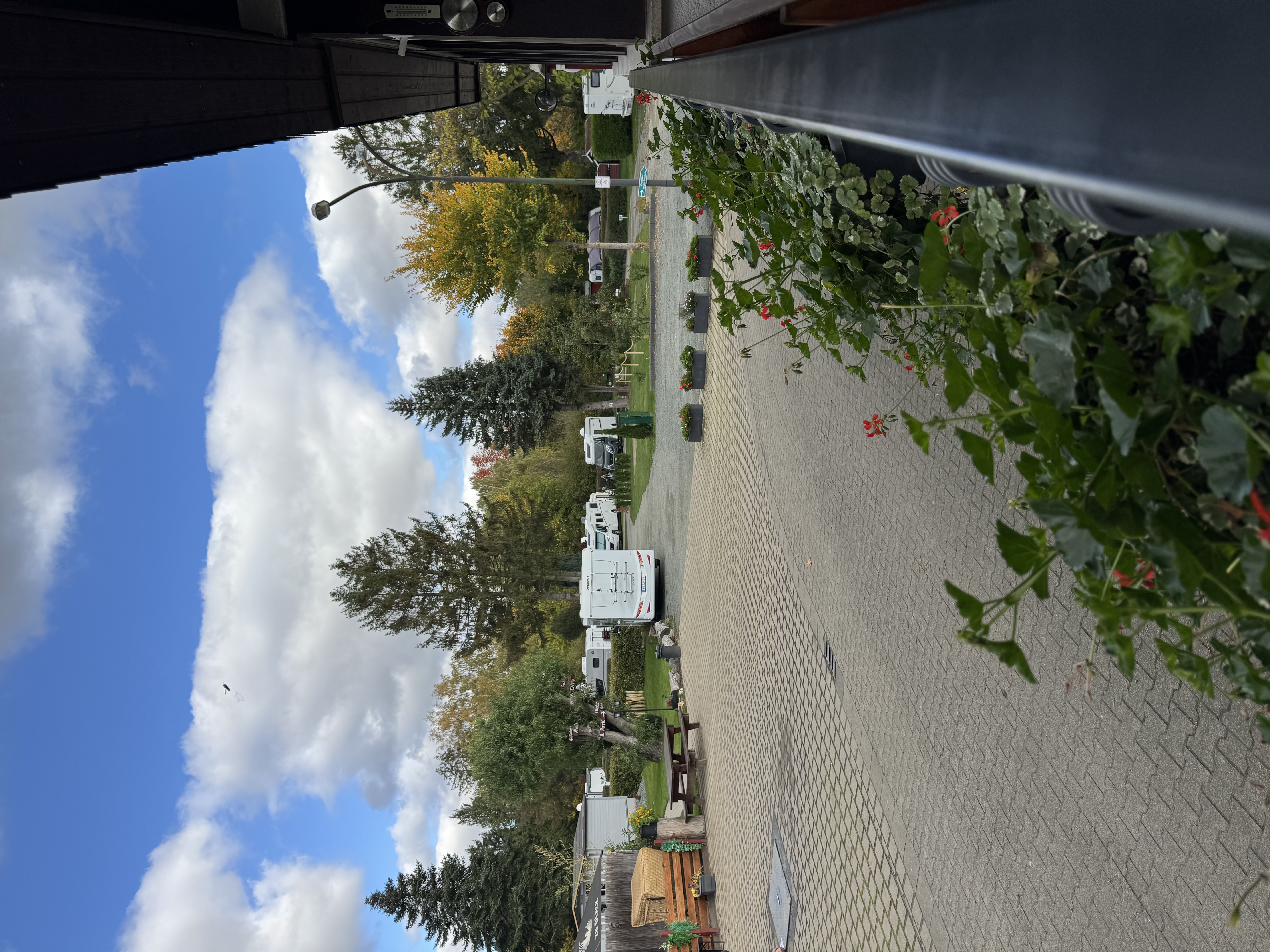 Wohnmobilstellplatz: Blick über den Platz Herbst 2025 - Campingplatz Wetzlar