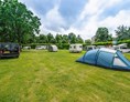 Wohnmobilstellplatz: Camping Hitjesvijver - Camping  en Camperplaats Hitjesvijver