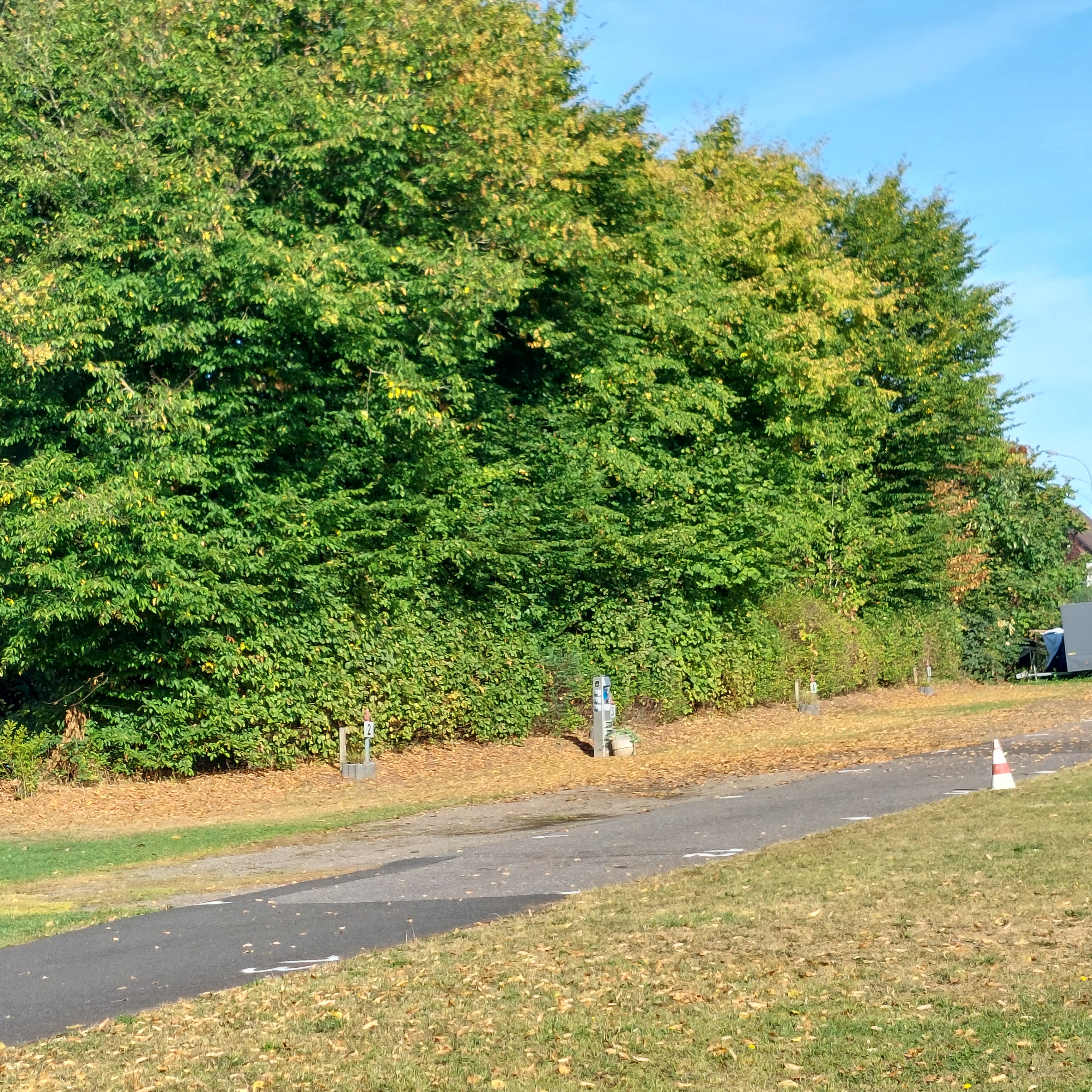 Reisemobilstellplatz: Womopark Uedem