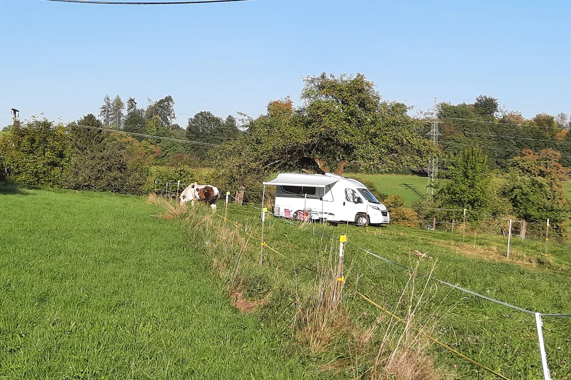 Wohnmobilstellplatz: Stellplätze auf der Wiese am Apfelbaum - Metternicher Hof