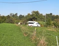 Wohnmobilstellplatz: Stellplätze auf der Wiese am Apfelbaum - Metternicher Hof