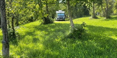 Posto auto camper - Wohnwagen erlaubt - Thermenland Steiermark - Stellplatz ist wunderschön im Grünen. Buschenschank empfehlenswert , - Mei Stellplatzerl Buschenschank Haider