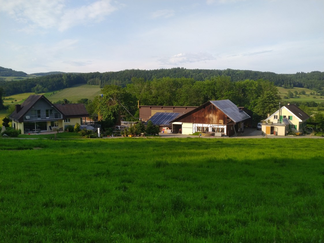 Wohnmobilstellplatz: Ansicht des hasenhof - Hasenhof