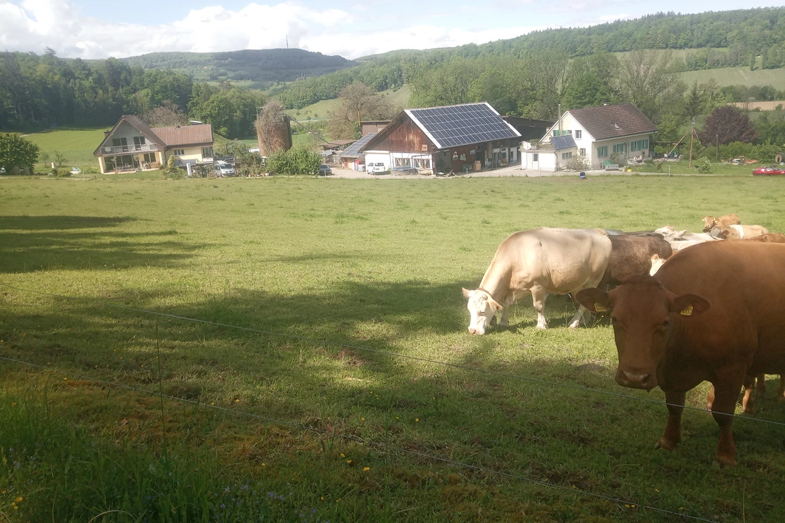 Wohnmobilstellplatz: Der Hasenhof, wo sich Fuchs und Hase noch gute Nacht wünschen - Hasenhof