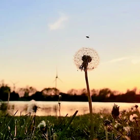 Wohnmobilstellplatz: herrliche Sonnenuntergänge am BadeSee - Soltborger Badesee Holtgaste