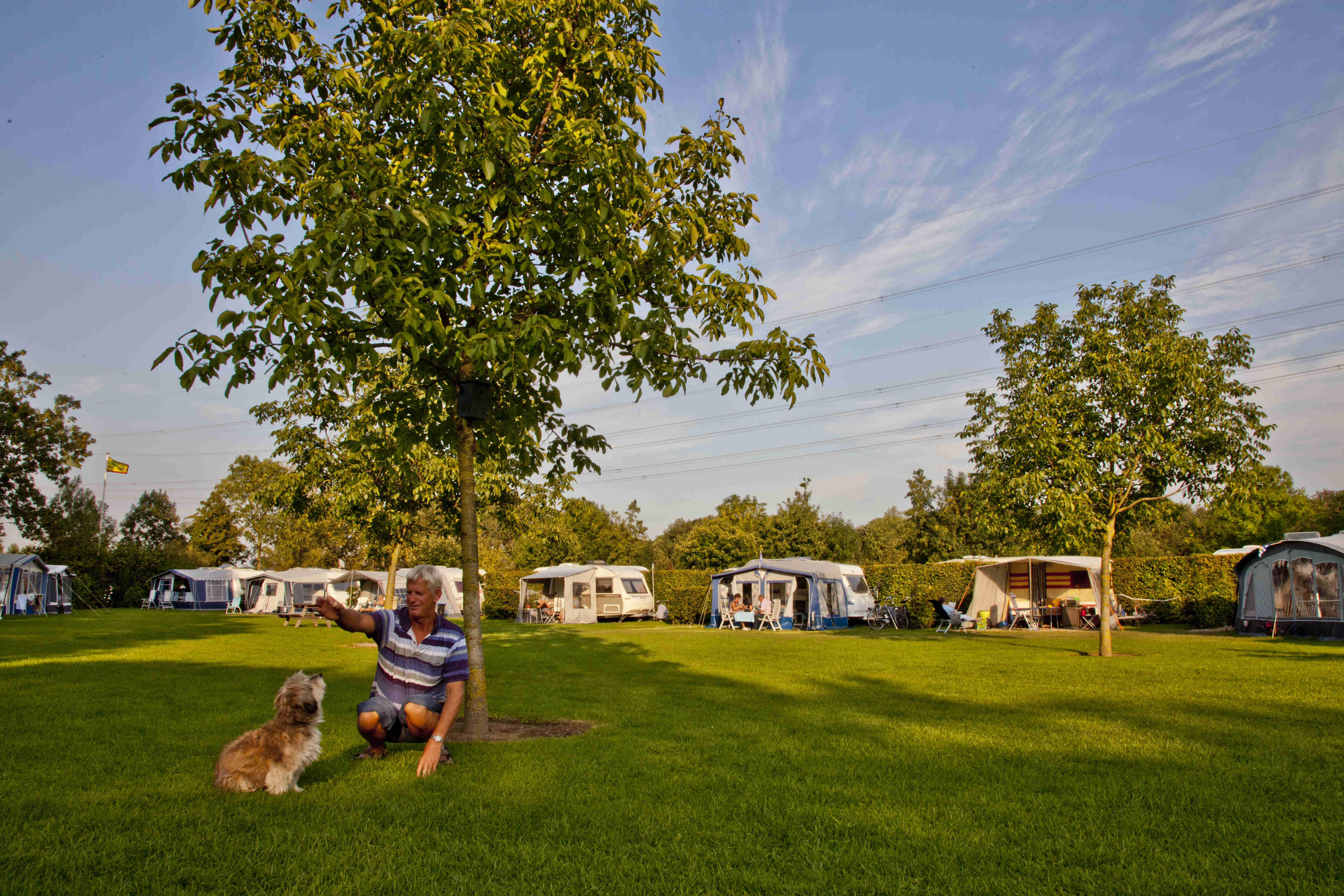Wohnmobilstellplatz: camping de Sangershoeve