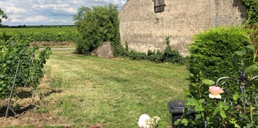 Reisemobilstellplatz - Hunde erlaubt: keine Hunde - Meckenheim (Landkreis Bad Dürkheim) - Ruhige Lage hinter der Scheune - Weingut Wolf Bad Dürkheim-Ungstein Ruhig an den Weinbergen