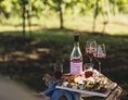 Wohnmobilstellplatz: Picknick - Stellplätze - Weingut Grill