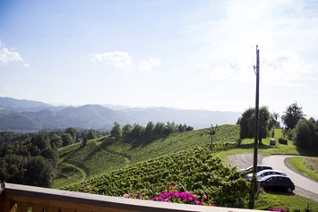 Wohnmobilstellplatz: Aussicht und Sicht auf den Stellplatz - Stellplätze - Weingut Grill