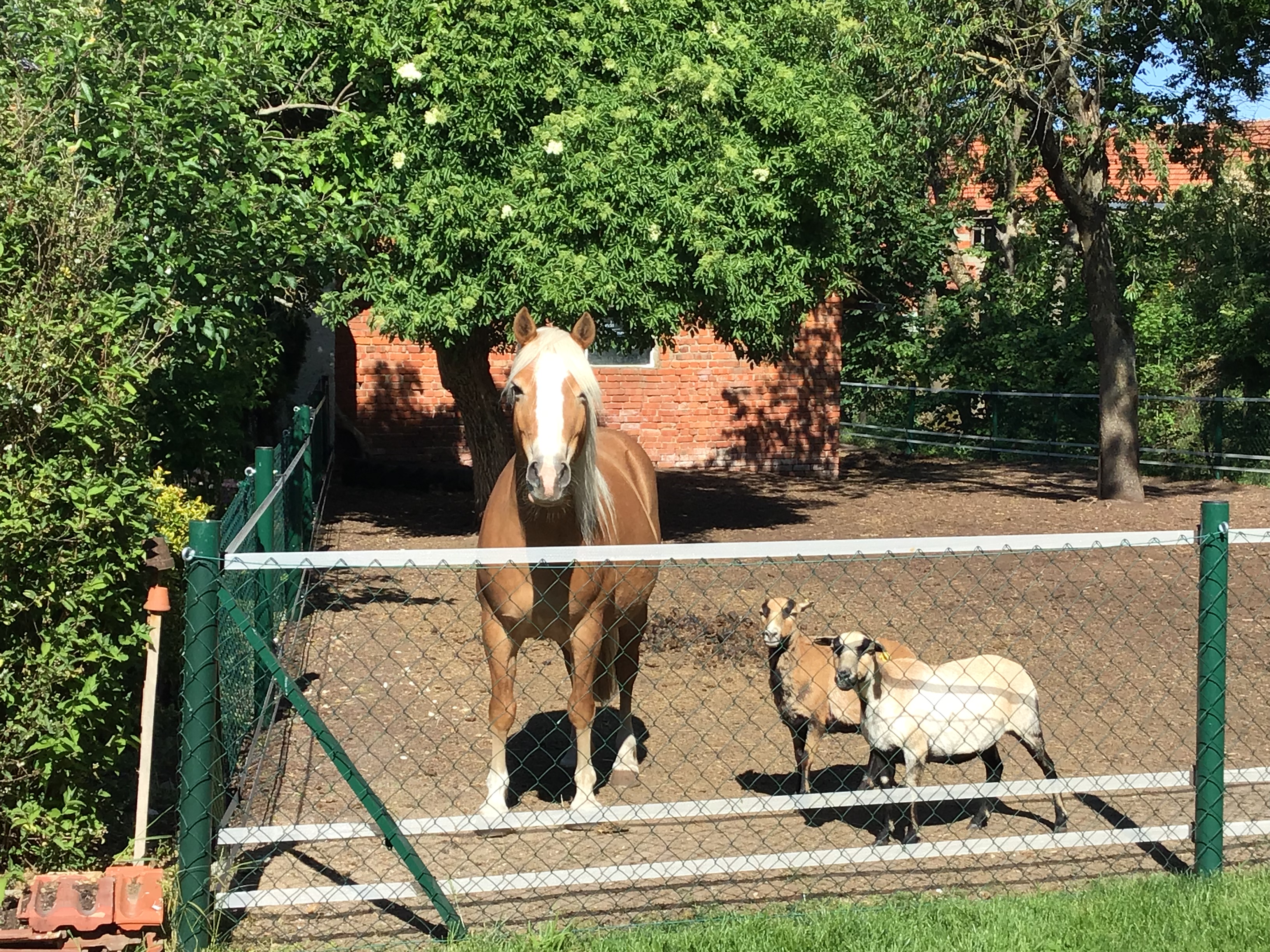 Wohnmobilstellplatz: Schmittn Hof