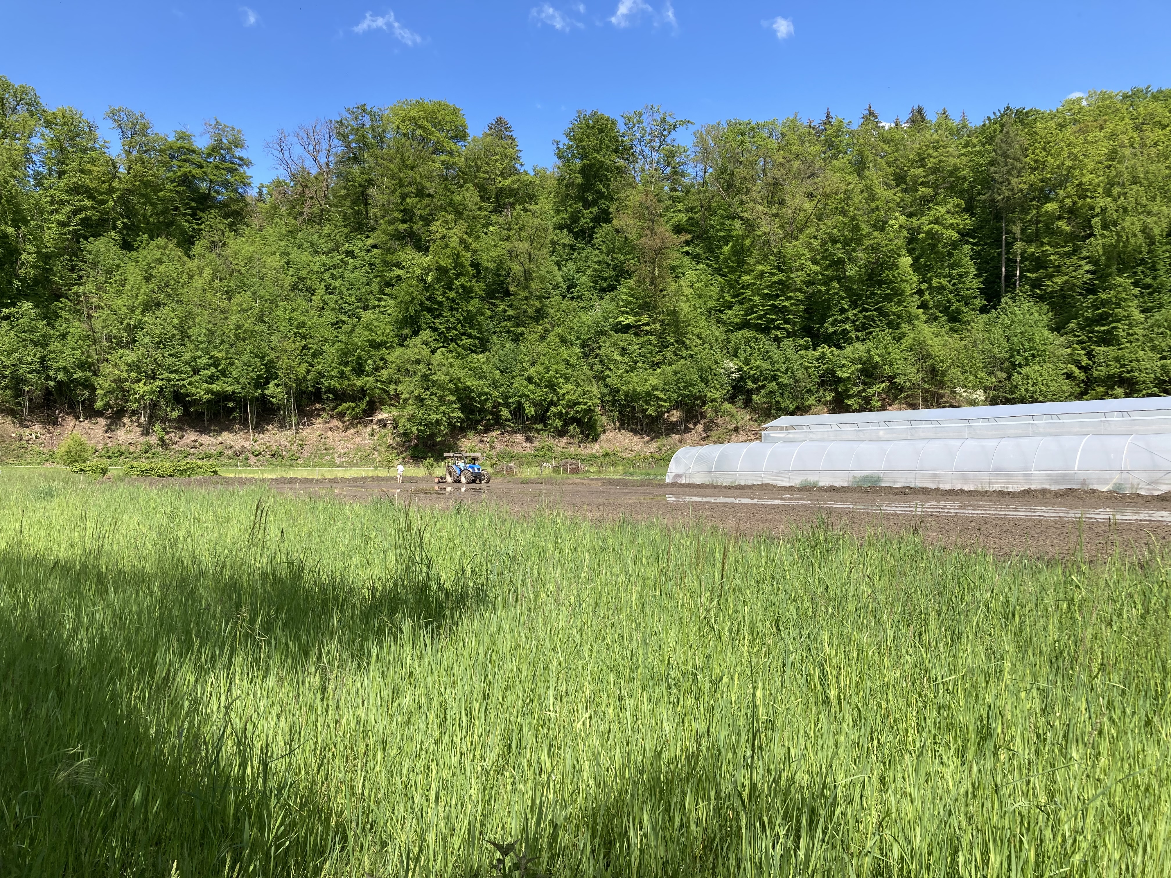 Wohnmobilstellplatz: Blick auf den Landwirtschaftsbetrieb  - Wildenau