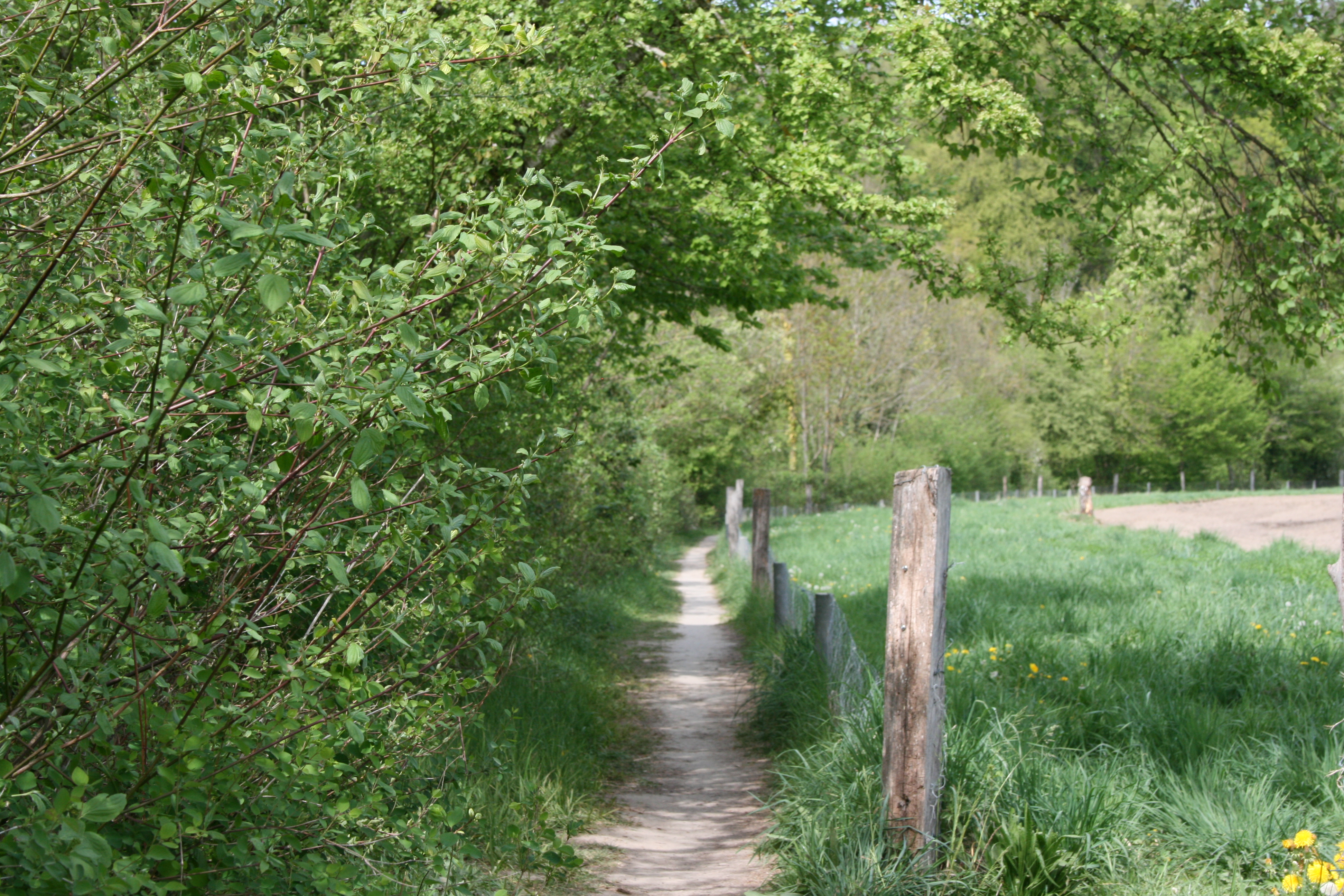 Wohnmobilstellplatz: Wanderweg direkt an der Reuss - Wildenau
