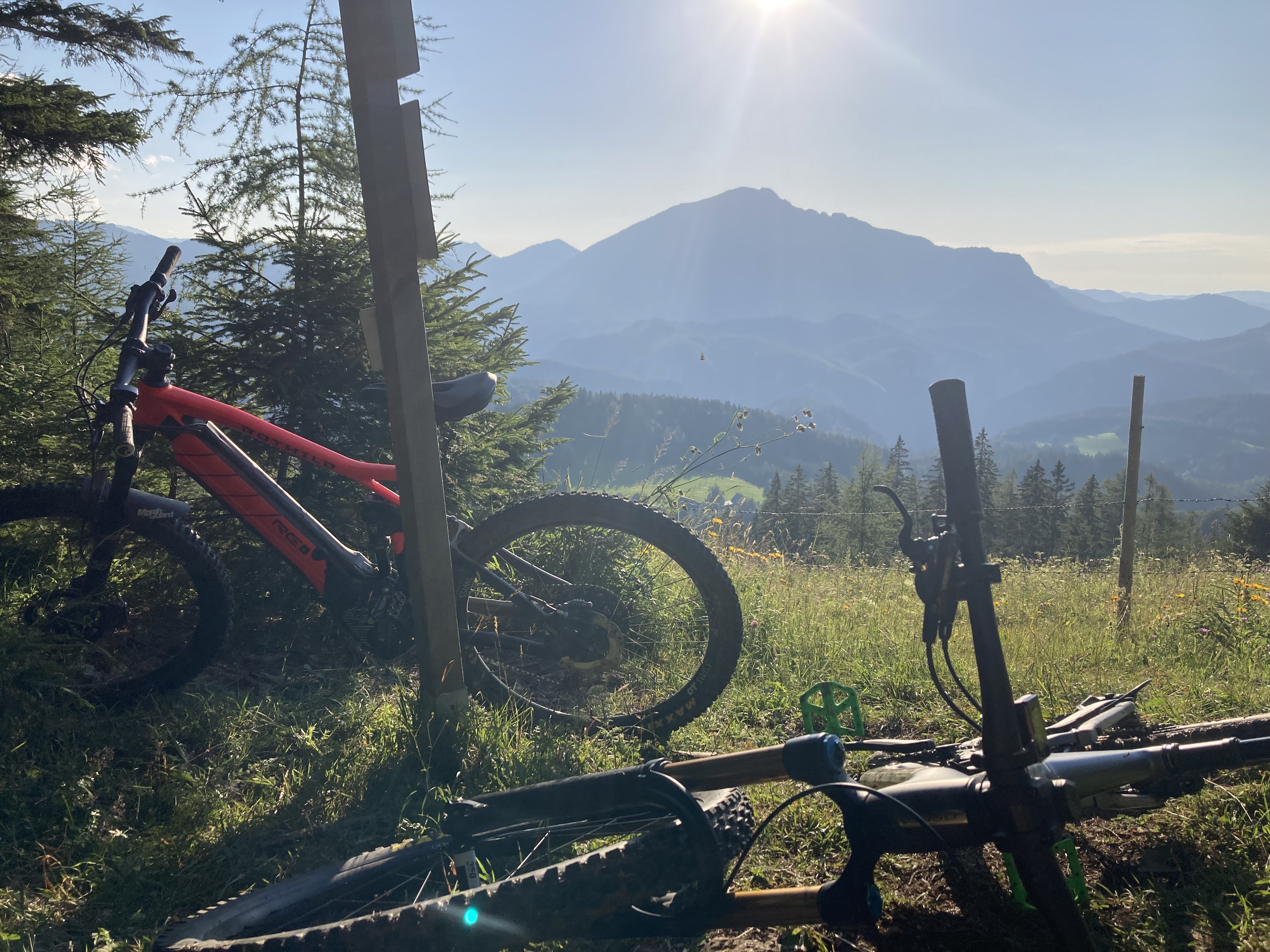 Reisemobilstellplatz - Mitterbach (St. Aegyd am Neuwalde) - Mtb Josefsberg Trails - Alex‘ Alpaka Ranch