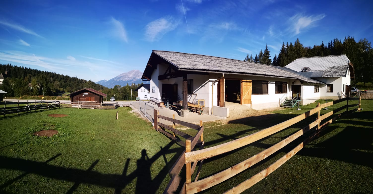 Alex Alpaka Ranch Wohnmobilstellplatz in sterreich