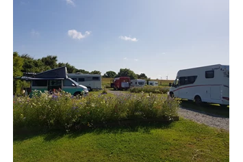 Wohnmobilstellplatz: Campingplatz Westerkoog