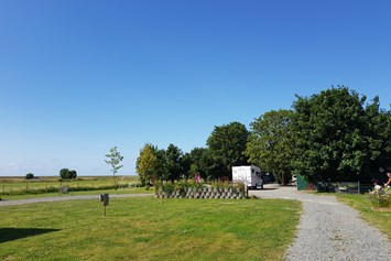 Wohnmobilstellplatz: Campingplatz Westerkoog