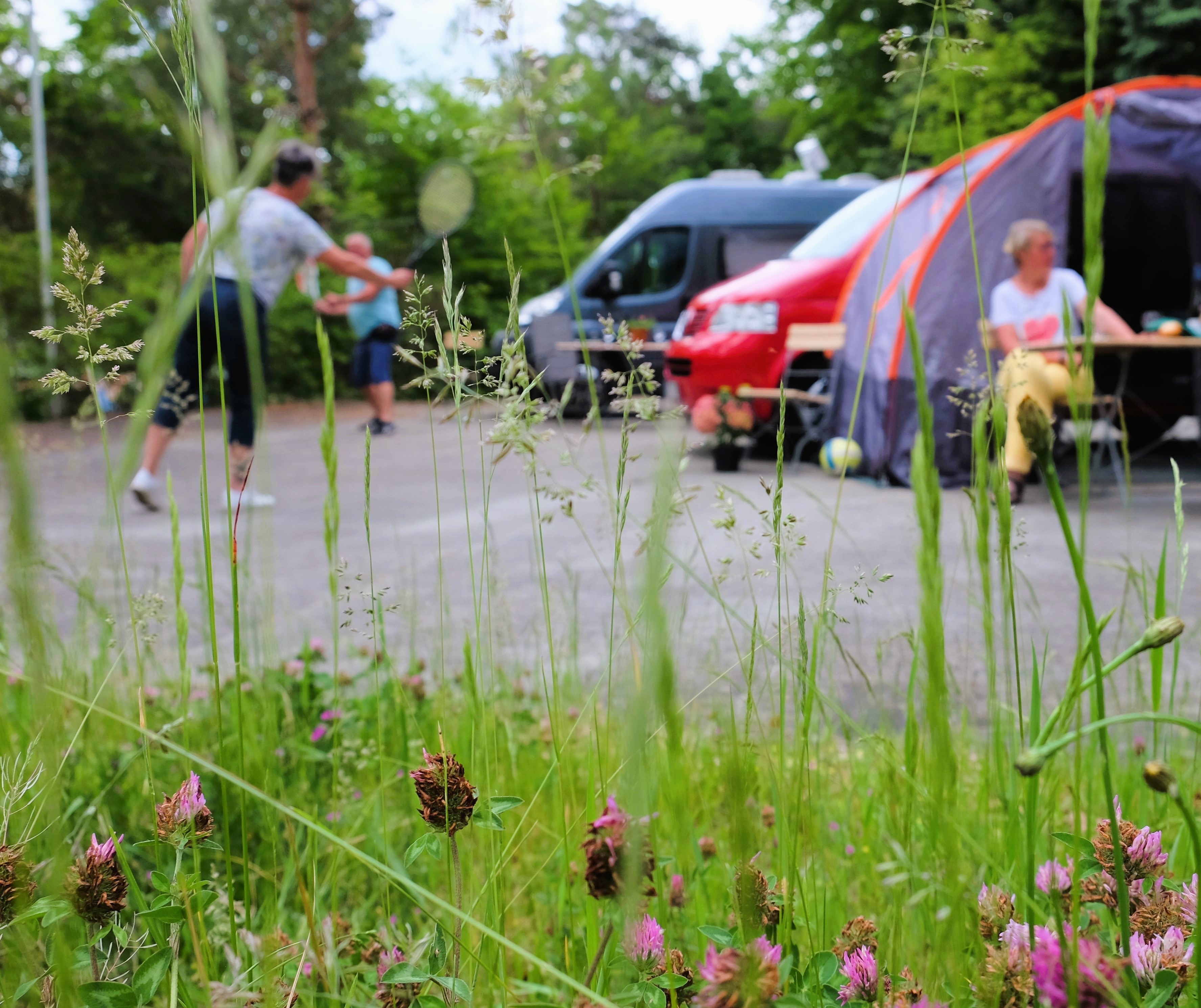 Reisemobilstellplatz - PLZ 01127 (Deutschland) - Bilz-Campingplatz Radebeul