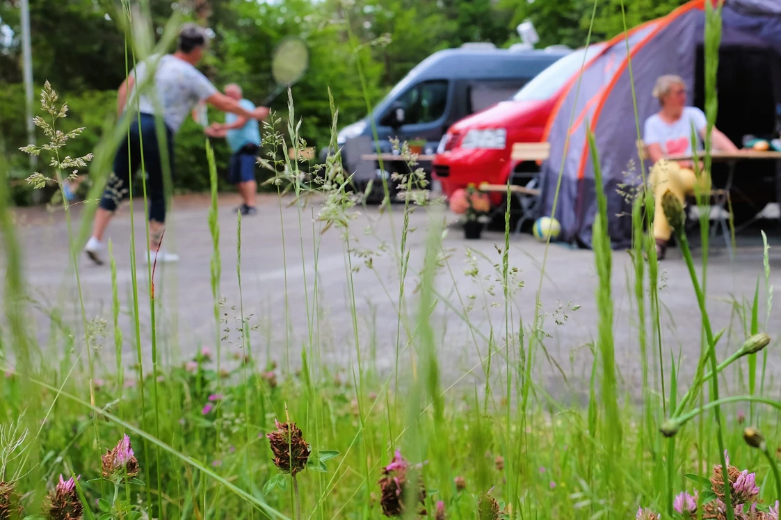 Wohnmobilstellplatz: Bilz-Campingplatz Radebeul