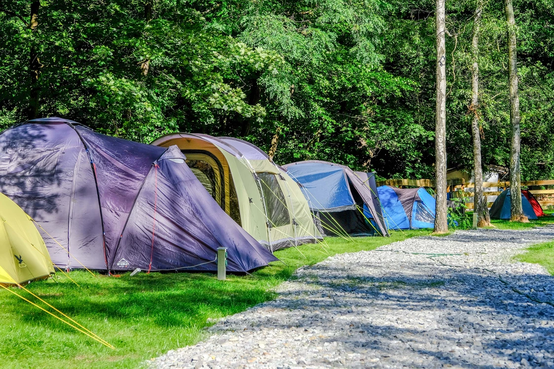 Wohnmobilstellplatz: Bilz-Campingplatz Radebeul