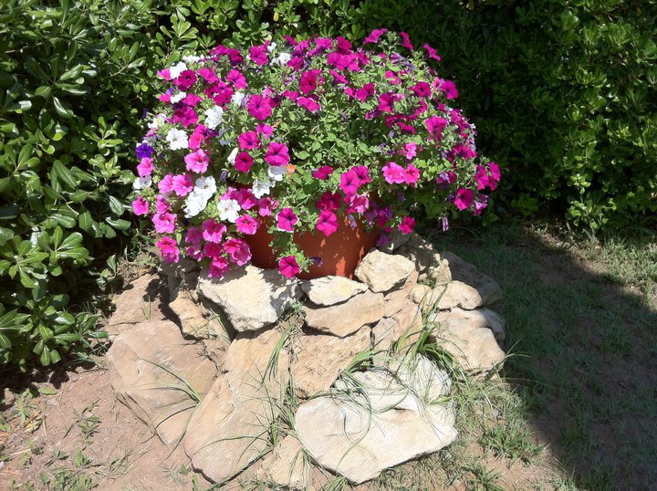 Reisemobilstellplatz - Toskana - colori - Agricampeggio Impalancati