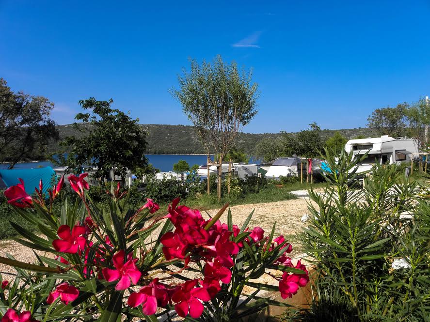 Area sosta per camper - Ugljan - Camp Mandarino