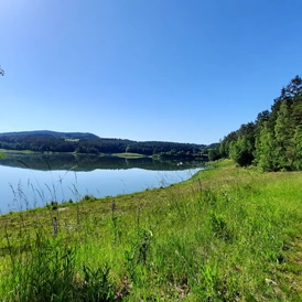 Wohnmobilstellplatz: Camping Haus Seeblick