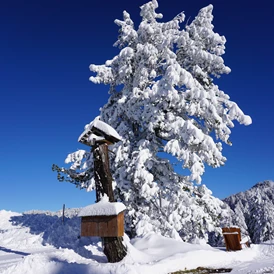 Wohnmobilstellplatz: Winterwunderland - Bergheim Schmidt Turracher Höhe