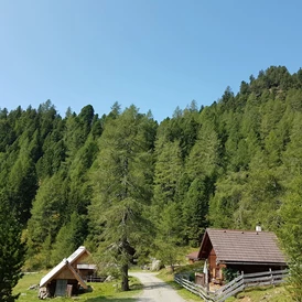 Wohnmobilstellplatz: Glamping in der Almhütte möglich. - Bergheim Schmidt Turracher Höhe