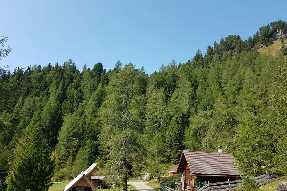 Wohnmobilstellplatz: Glamping in der Almhütte möglich. - Bergheim Schmidt Turracher Höhe