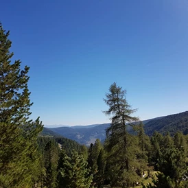 Wohnmobilstellplatz: Der Ausblick nach Süden. - Bergheim Schmidt Turracher Höhe