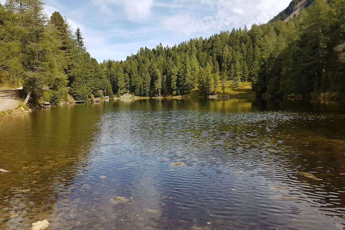 Wohnmobilstellplatz: Der Grünsee. - Bergheim Schmidt Turracher Höhe