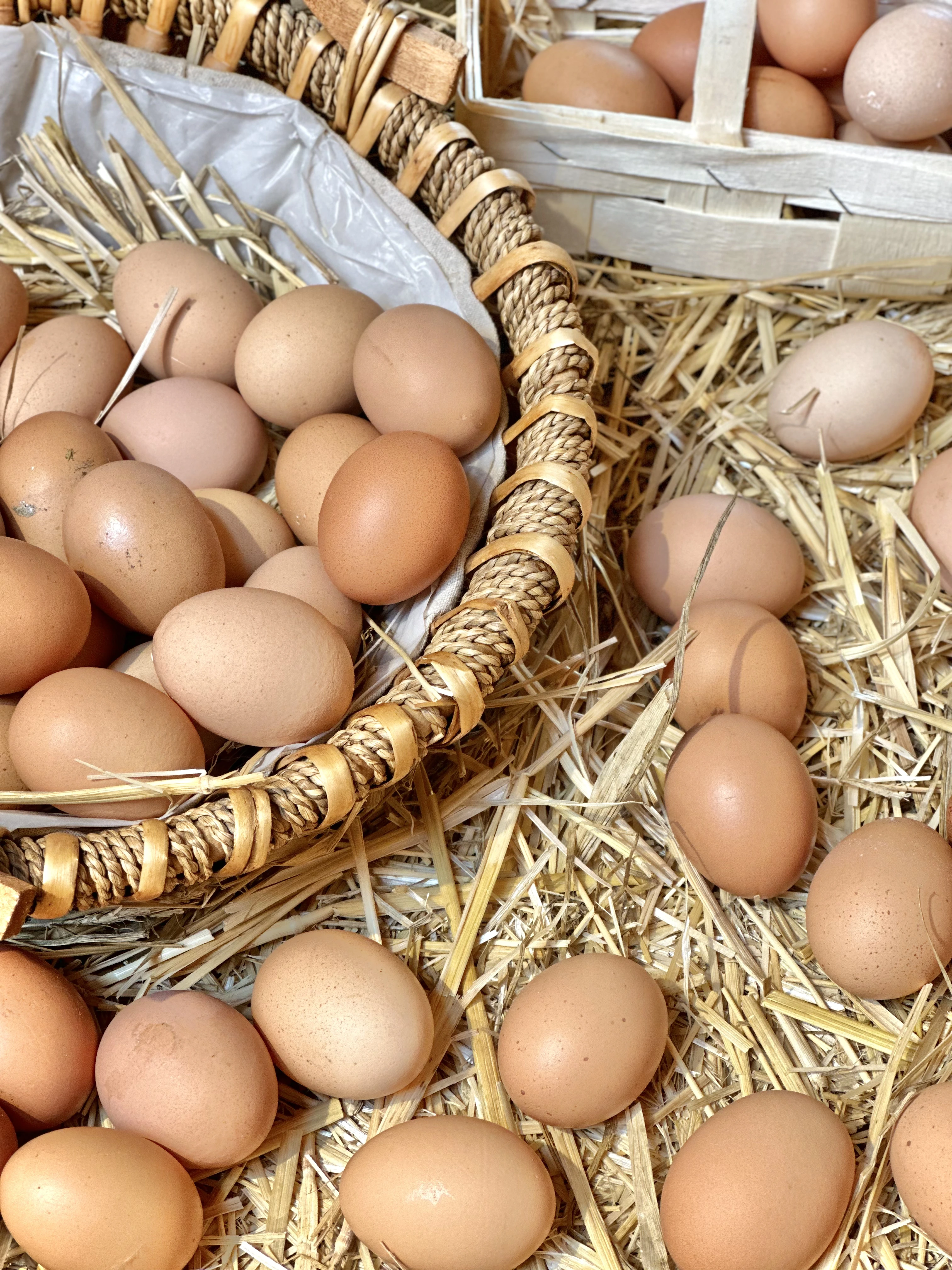 Wohnmobilstellplatz: Frische Freiland Eier aus eigener Produktion - Stellplatz am Spargel- und Erlebnishof Klaistow