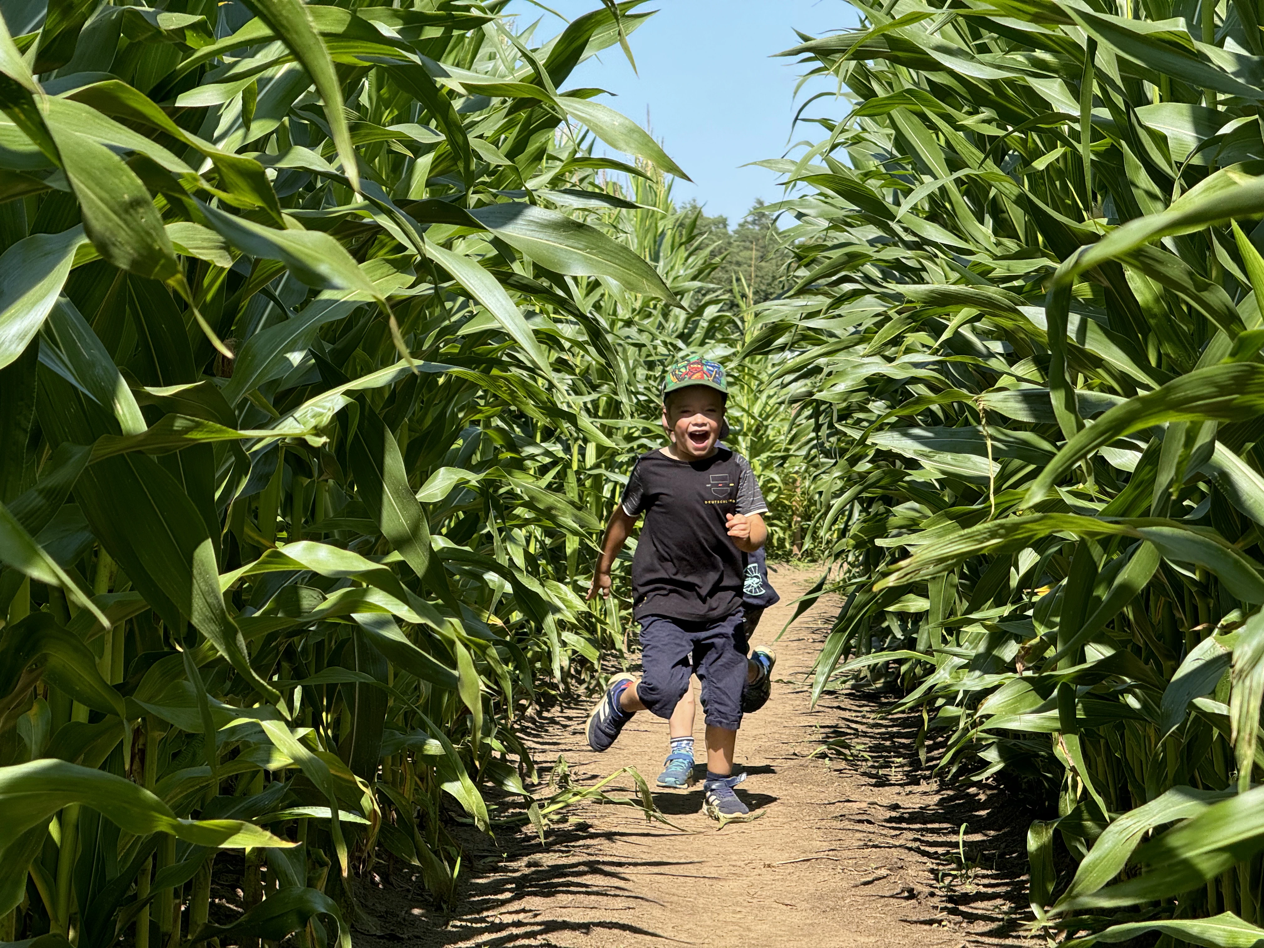 Reisemobilstellplatz: Maislabyrinth von Juli bis November geöffnet - Stellplatz am Spargelhof Klaistow