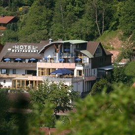 Wohnmobilstellplatz: Hotel Am Hirschhorn - in Mitten der Natur - Stellplatz Hotel Am Hirschhorn