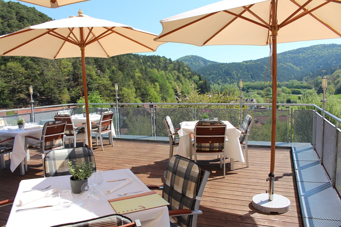 Wohnmobilstellplatz: Panorama-Terrasse am Restaurant mit Blick in den Pfälzer Wald - Stellplatz Hotel Am Hirschhorn