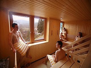 Wohnmobilstellplatz: finnische Sauna - Stellplatz Hotel Am Hirschhorn