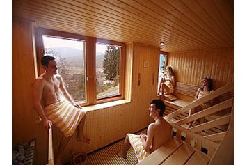 Wohnmobilstellplatz: finnische Sauna - Stellplatz Hotel Am Hirschhorn