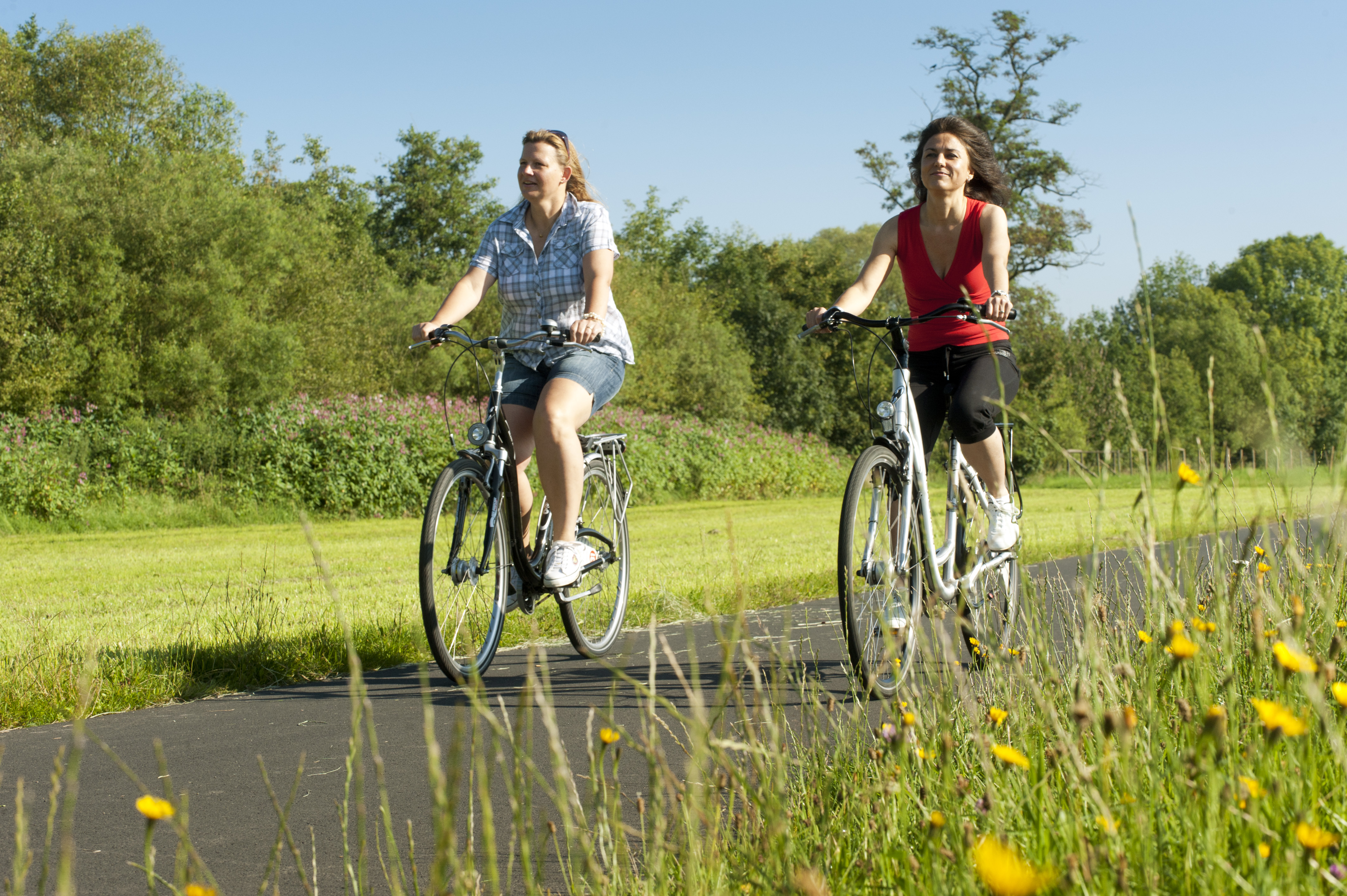Wohnmobilstellplatz: Der Kinzigtal-Fernradweg R3 verläuft nur wenige Meter vom Wohnmobilstellplatz entfernt. Auf dem Radweg lässt es sich bequem zum Kinzigstausee, Steinau an der Straße oder Gelnhausen radeln. Für alle, die es sportlicher mögen: die Spessartbiken-MBT Routen - Wohnmobilstellplatz an Kurpark & Spessart Therme