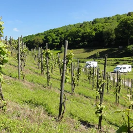 Wohnmobilstellplatz: http://www.vonnell.de - Stellplätze auf dem Weingut von Nell