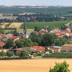 Wohnmobilstellplatz: Siefersheim / Stellplatz  - Weingut Sommer BIO