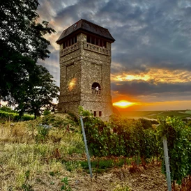 Wohnmobilstellplatz: Der alte Wasserspeicher in wöllstein - Weingut Sommer BIO