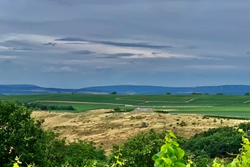 Wohnmobilstellplatz: Rhoihesse, Blick nach Nord, Nord-West Richtung Hunsrück. Auf dem vorderen Hügel, die Grabstätte der Winzerfamilie Wirt.  - Weingut Sommer BIO