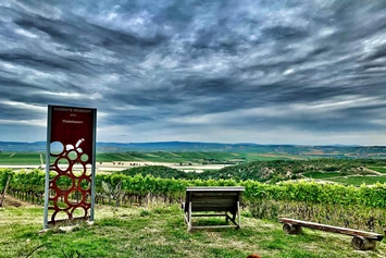 Wohnmobilstellplatz: Rhoihesseblick 🥰 - Weingut Sommer BIO