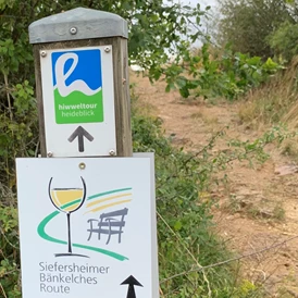 Wohnmobilstellplatz: Empfehlenswert  - Weingut Sommer BIO