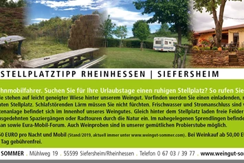 Wohnmobilstellplatz: Weingut Sommer BIO