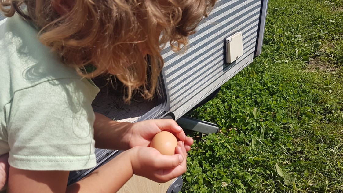 Wohnmobilstellplatz: Wenn das Huhn das Ei direkt am Wohnwagen legt - ein besonderes Ereignis! - Naturlandhof Daxlberg