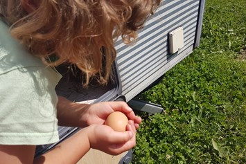 Wohnmobilstellplatz: Wenn das Huhn das Ei direkt am Wohnwagen legt - ein besonderes Ereignis! - Naturlandhof Daxlberg