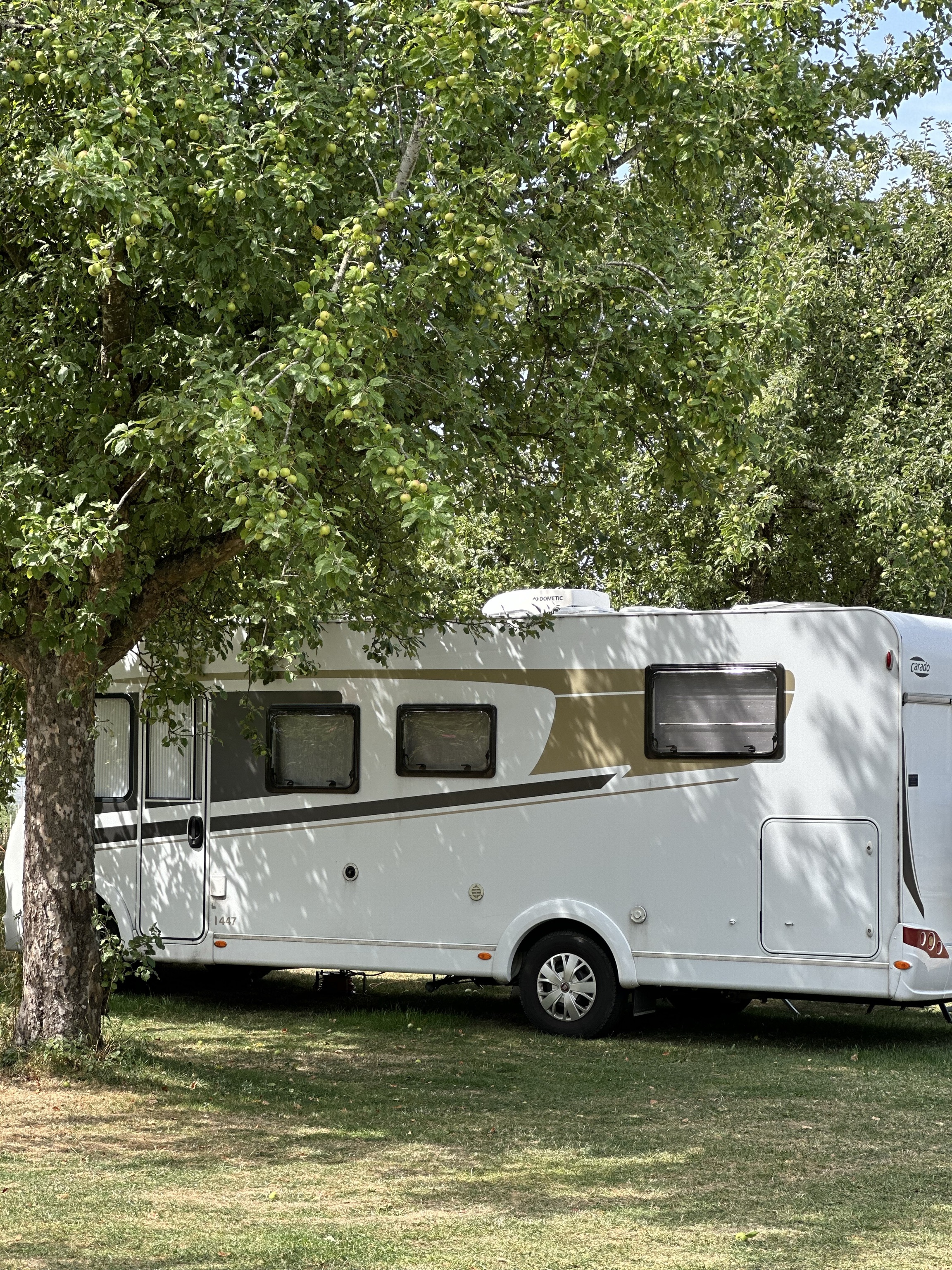 Reisemobilstellplatz: Wohnmobil - Landhotel / Stellplatz / Bio Obstbau SCHELLENBERG