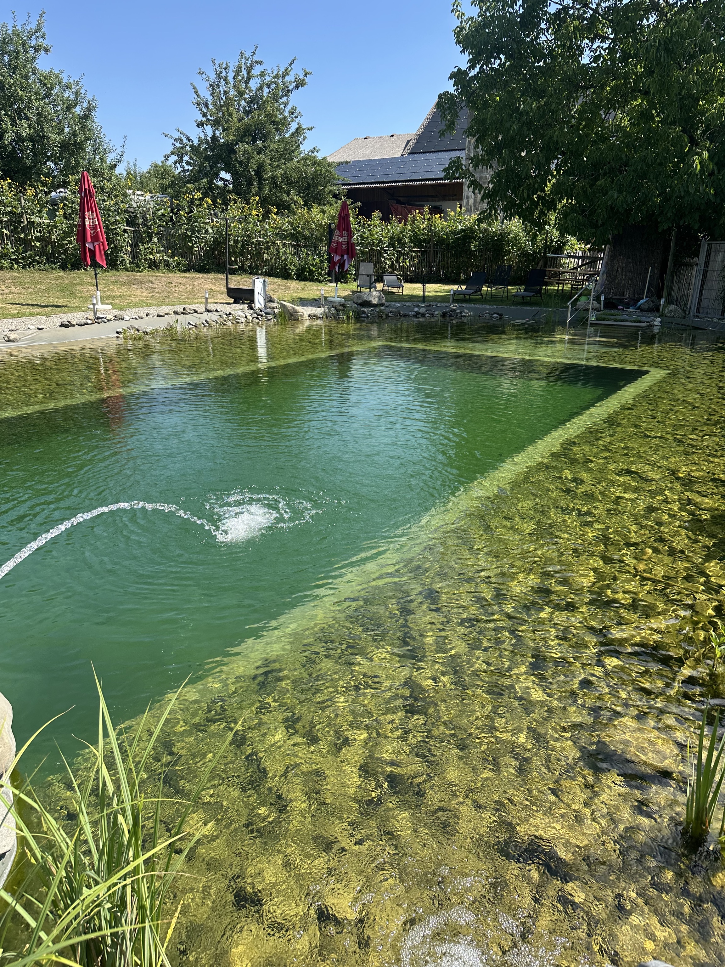 Reisemobilstellplatz: Schwimmteich - Landhotel / Stellplatz / Bio Obstbau SCHELLENBERG